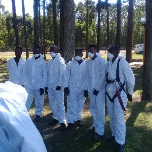 Asbestos Removal
