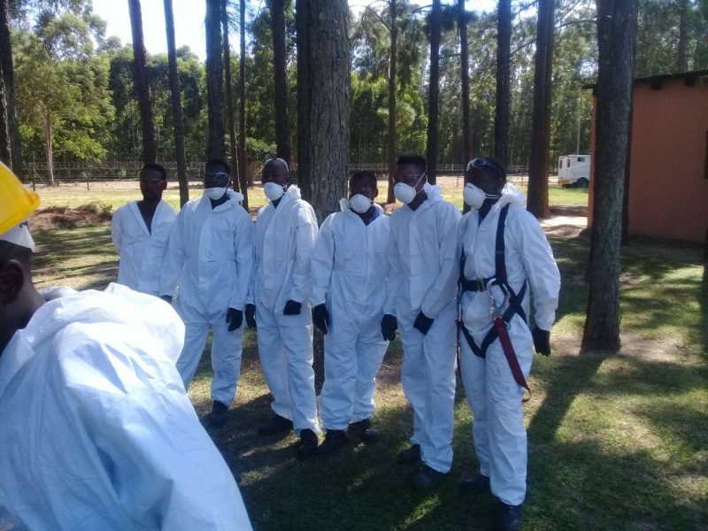 Asbestos Removal and Repair